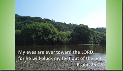 psalm 25 15
