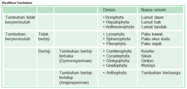 klasifikasi tumbuhan