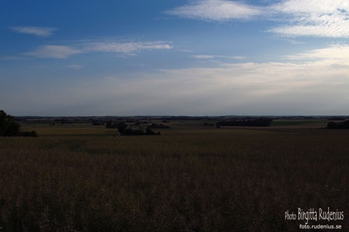 201_20110716_spannmal