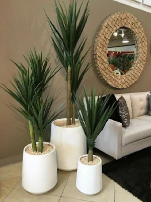 Como utilizar plantas na decoração de interiores