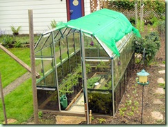 Greenhouse1