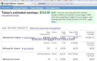 Earning GA BloggerCeria Mid-February 2011