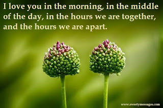 I love you in the morning, in the middle of the day, in the hours we are together, and the hours we are apart. 