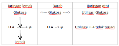 utilisasi-glukosa-ffa