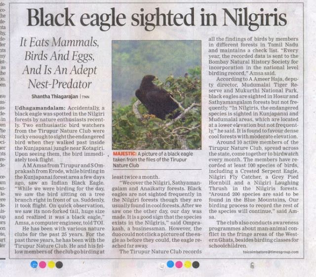 கருங் கழுகு (Black Eagle)