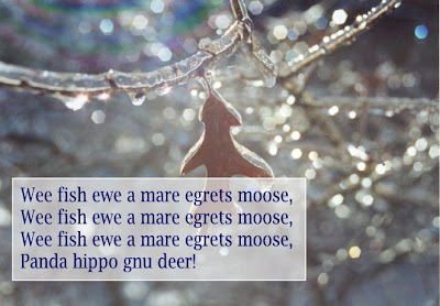 Wee fish ewe a mare egrets moose