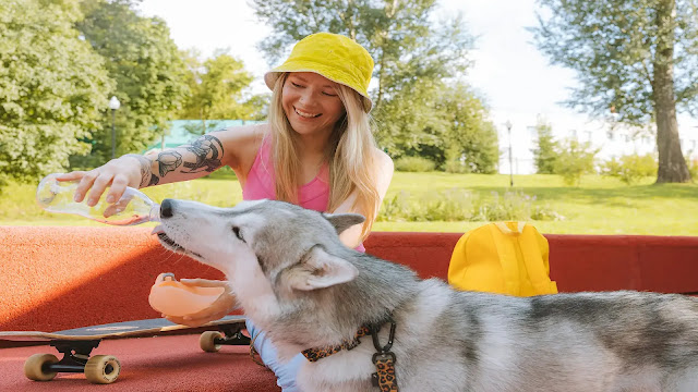 Dog Drinking Water