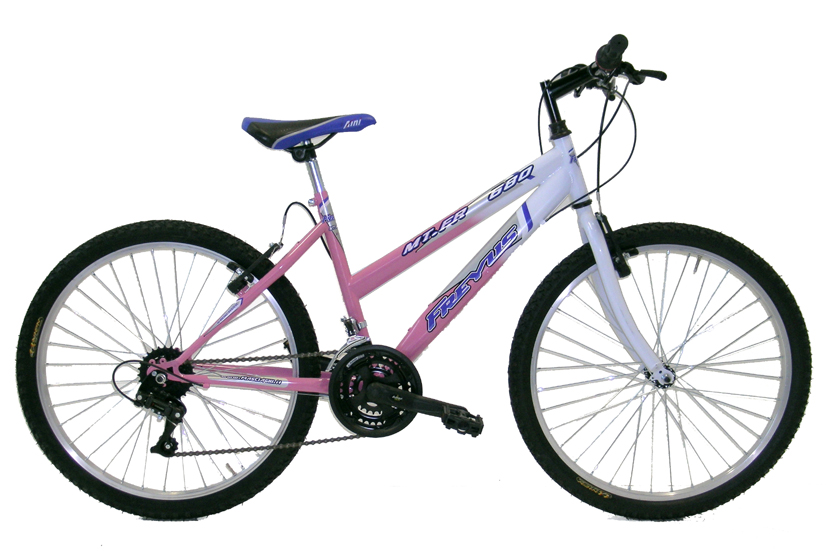 bicicletta economica donna