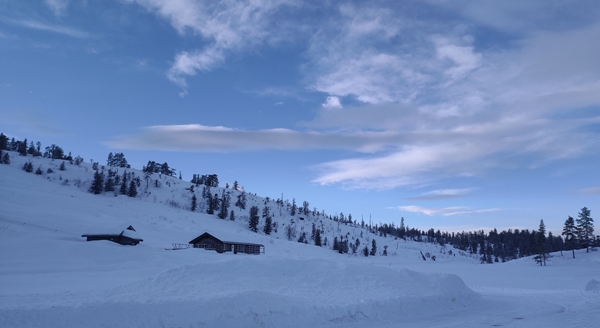 vikerfjell ringerudsetera søndre flåtjern