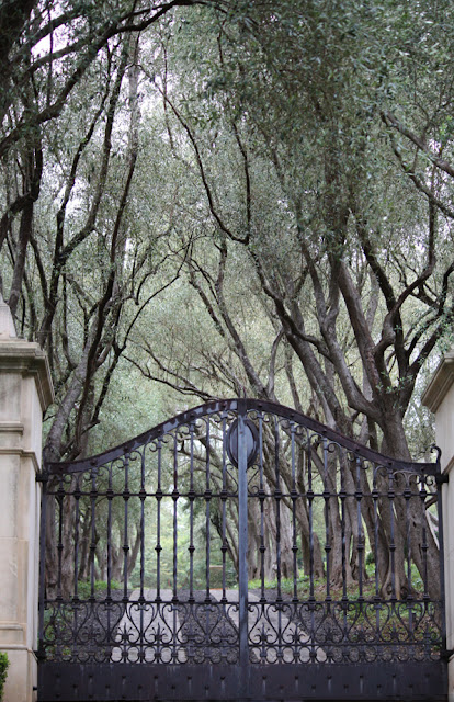 Gate,Tree-lined Driveway image by LeAnn for linen & lavender (l&l)