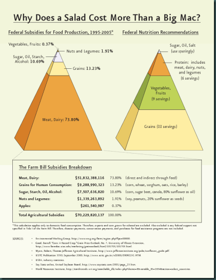 Food-Pyramid-Federal-Subsidies