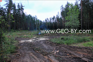 A fire not extinguished by lumberjacks on the territory of the Negoreloe educational and experimental forestry of the Belarusian State Technological University