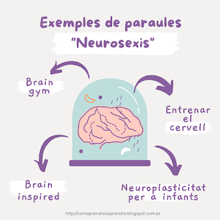 neurociencia-educadors-marqueting