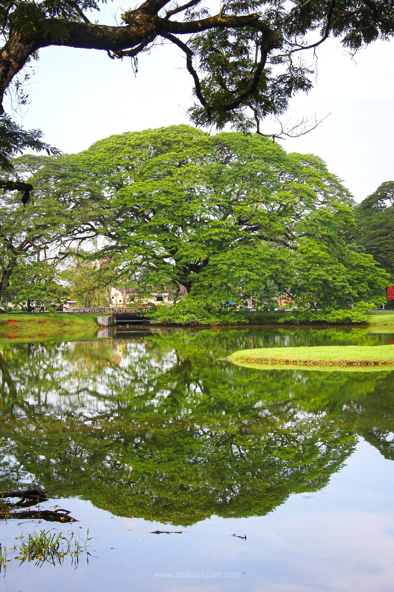 Seiring Dan Sejalan Di Taman Tasik Taiping, Perak