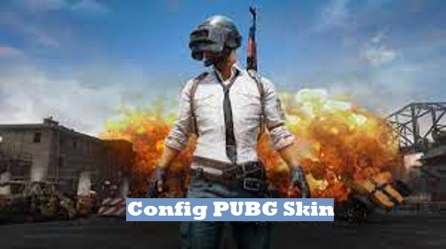 Config PUBG Skin