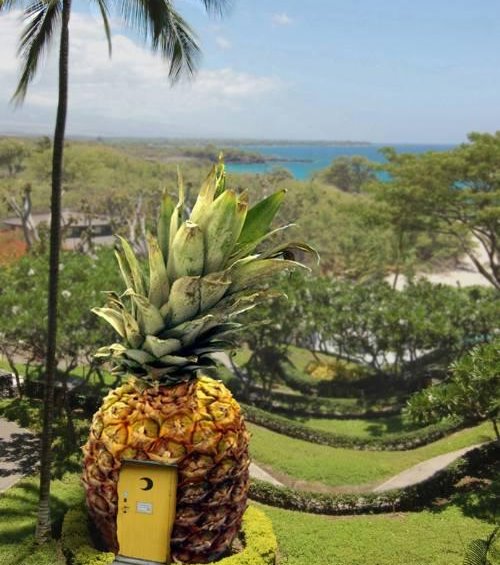 A FUNNY PINEAPPLE HOUSE PICTURE
