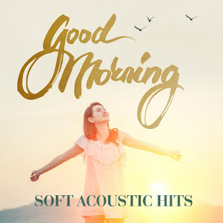 MP3 download Various Artists - Good Morning: Soft Acoustic Hits iTunes plus aac m4a mp3