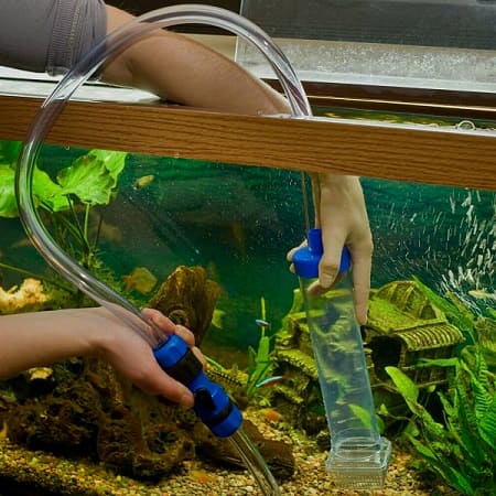 change the water in the aquarium