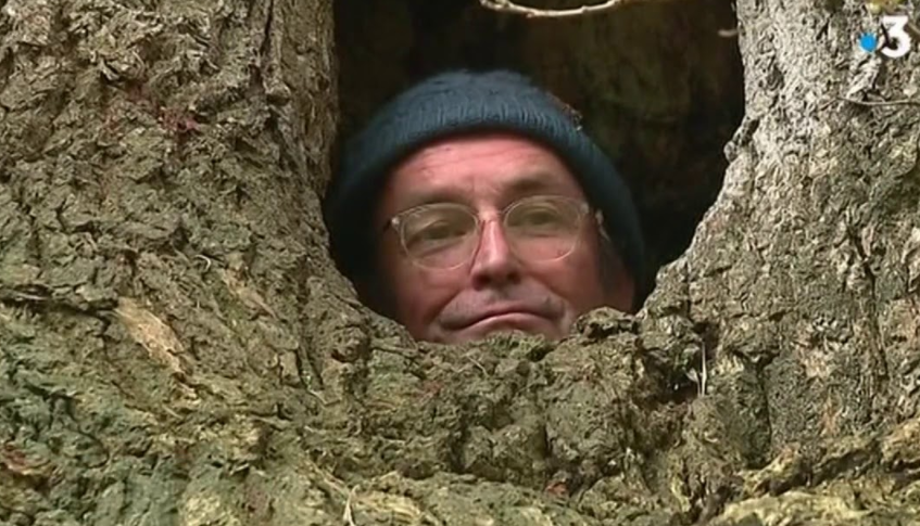 Bretagne (29) : Indigné par la gestion du système de santé, un médecin se confine dans un arbre à Fouesnant - VIDÉO 