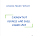 Project Report on Cashew nut Kernels and Shell Liquid Unit