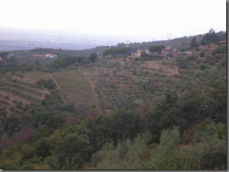 P8270013