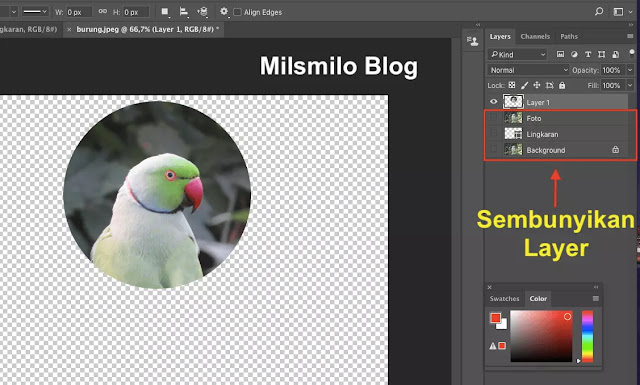 cara crop atau memotong foto jadi bulat di photoshop, crop bulat phtotoshop membuat foto menjadi lingkaran