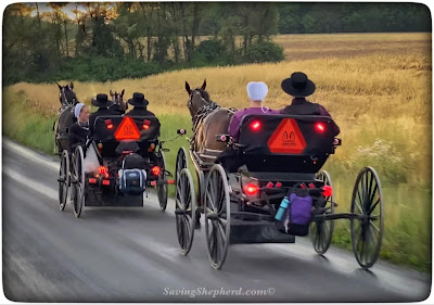 Amish Youth Courting