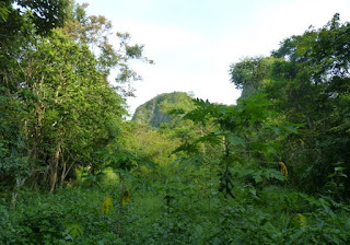 Parque Nacional de Cat Ba. Cueva Trung Trang.