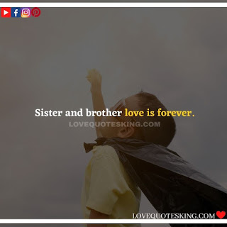 Best Funny Brother Quotes From a Sister | Best Quotes About Brothers To Say | Best Brother Quotes And Sibling Sayings | Funny Quotes On Brother And Sister