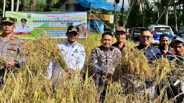 Bupati Solok Jon Firman Pandu Memberikan Apresiasi Tinggi Terhadap Inovasi Pertanian “sawah pokok murah”
