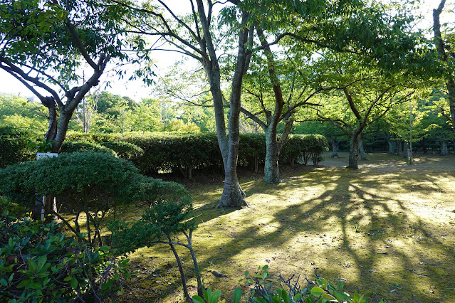 鳥取県米子市西町　湊山公園