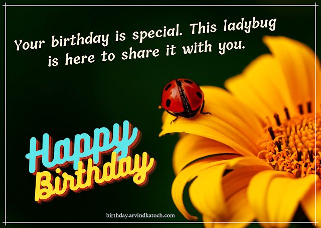 Ladybug, Yellow flower, Birthday Card,