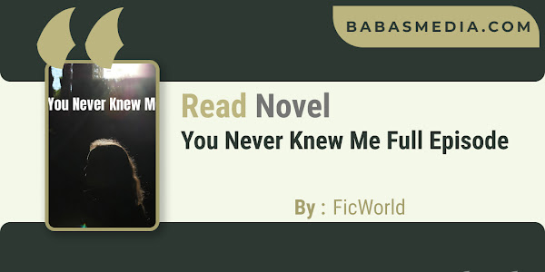 Read You Never Knew Me Novel By FicWorld / Synopsis
