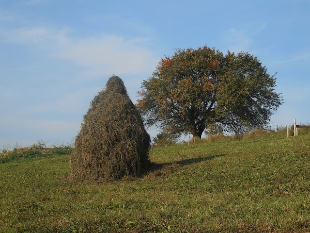 Lubań w Gorcach