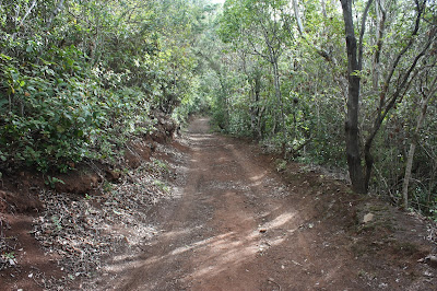 PR-TF-12 BAJAMAR A LA CRUZ DEL CARMEN, sendero en dirección a Cruz del Carmen, sendero o pista en dirección a el Camino La Goleta