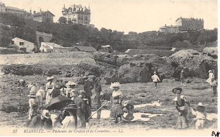 pays basque autrefois labourd côte touristes pêcheurs