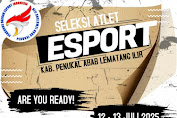 ESI PALI Buka Seleksi Atlet eSport untuk Porprov Sumsel 2025, Ini Syarat dan Jadwalnya