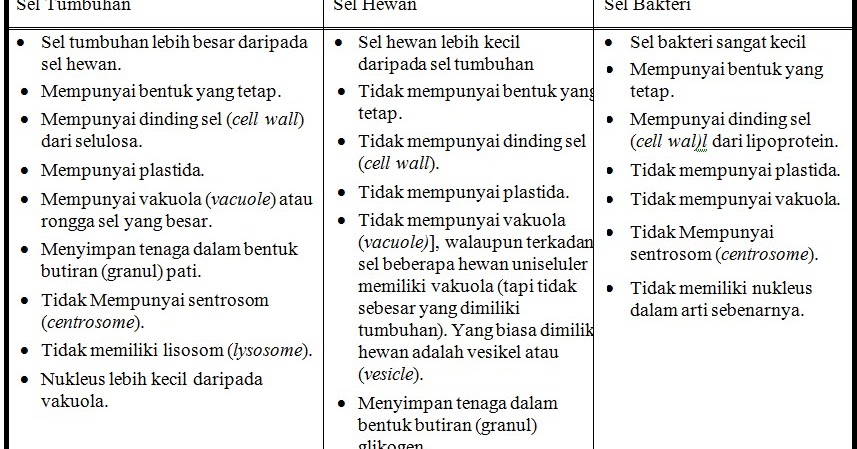 Ingin Tahu Perbedaan Sel  Tumbuhan  Dan Sel  Hewan  Biologi