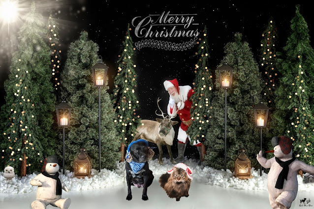 Bell Fur Zoo Christmas Card 2020 (©Jenny Bell @ Bell Fur Zoo)