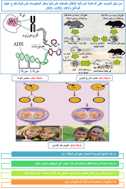 التعرف على الدعامة الوراثية لانتقال الصفات من الآباء الى الابناء وتحديد طبيعة المحتوى النووي المسؤول عن انتقال هذه الصفات