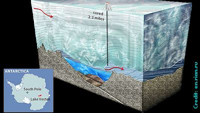 New Life Life Found in Antarctic Lake!