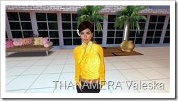 Snapshot_096