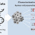 Machine learning helpt voorspellen wanneer immunotherapie effectief zal zijn