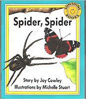 https://www.edventurebooks.net/products/spider-spider-by-joy-cowley