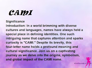 meaning of the name "CAMI"