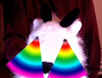 Rocco the pygmy goat shoots rainbow beams from her eyes