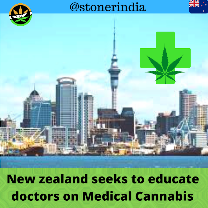 New Zealand government seeks to educate their doctors about medical cannabis