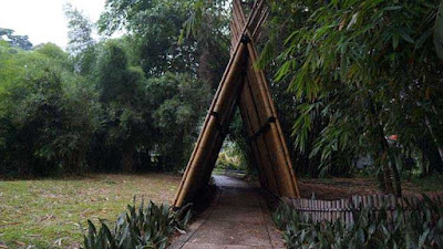 Taman Bambu Kebun Raya Bogor