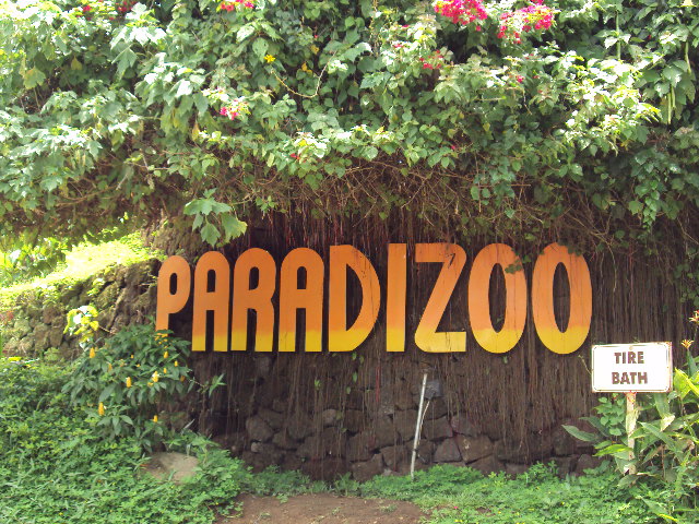 paradizoo address paradizoo in tagaytay paradizoo facebook butterfly farm in tagaytay how to go to paradizoo tagaytay zoo in alfonso cavite paradizoo number tagaytay zoo entrance fee