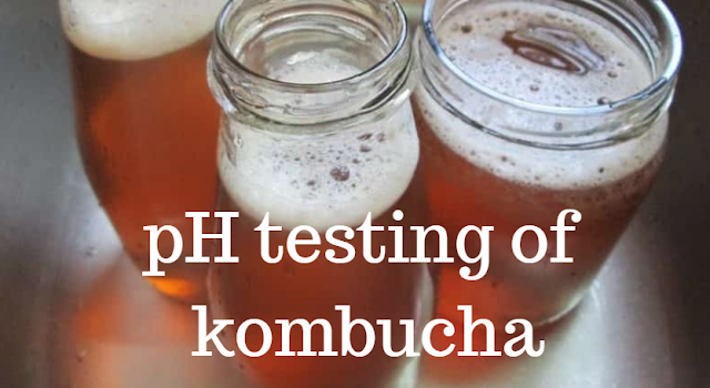 ph levels of kombucha